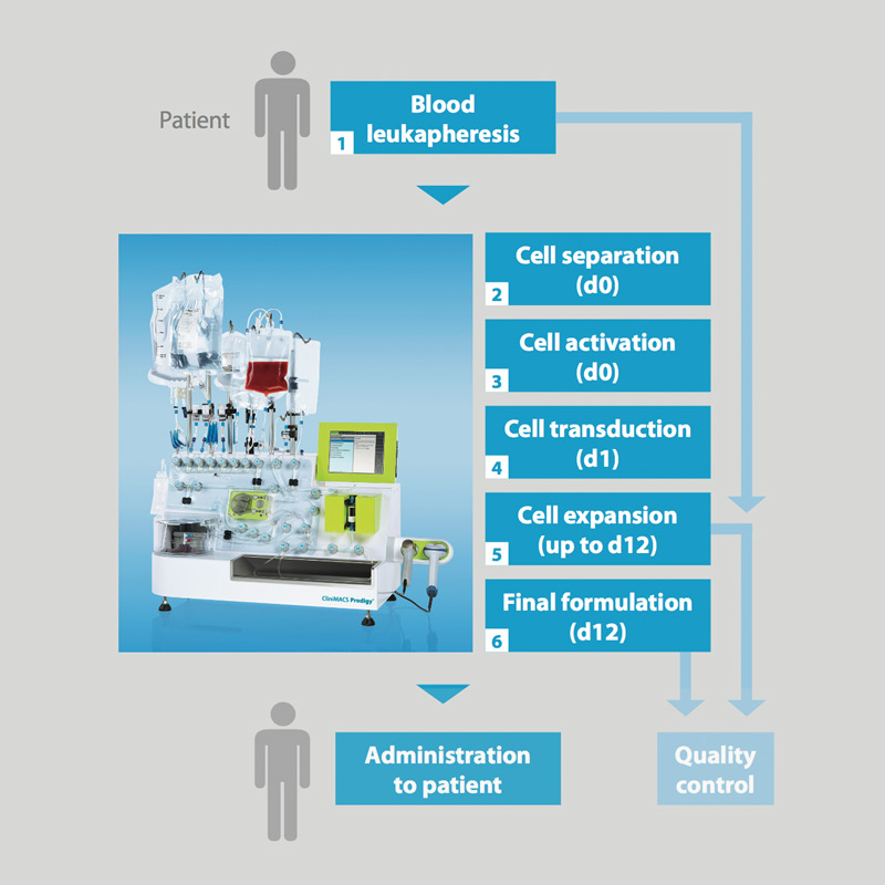 molecular characterization of diffuse malignant peritoneal mesothelioma